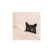 Affiche Kosicka Black cat - 50 x 50 cm