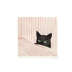 Affiche Kosicka Black cat - 50 x 50 cm