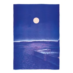 Affiche Le bain de minuit - Manon Diemer