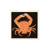 Affiche Spotted Calico Crab - 50 x 50 cm