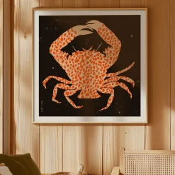 Affiche Spotted Calico Crab - 50 x 50 cm