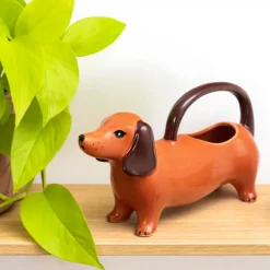 Arrosoir Chien Saucisse