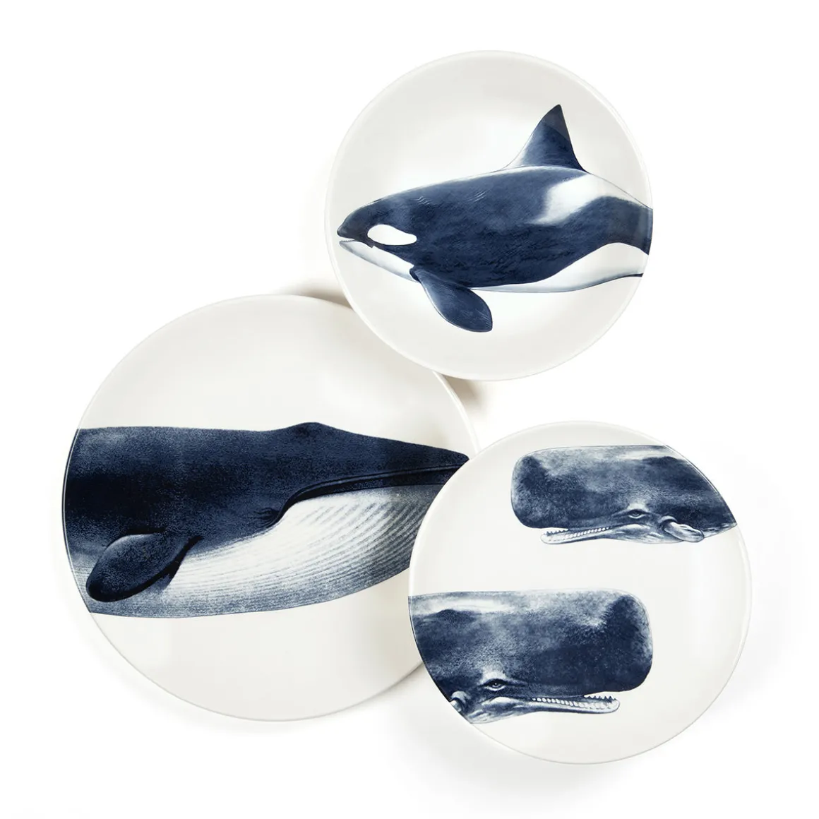 Assiette creuse - Orque