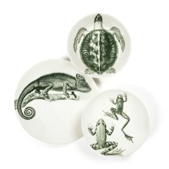 Assiette plate - Cameleon