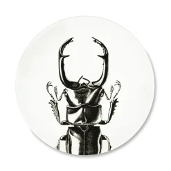 Assiette plate - Scarabée