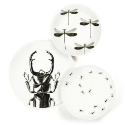 Assiette plate - Scarabée