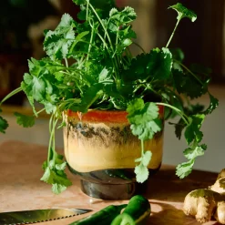 Bougie Parfumée 70s Tulum - 10,5 cm