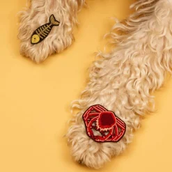 Broche Arête - Dorée