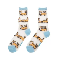 Chaussettes Transparentes - Corgi
