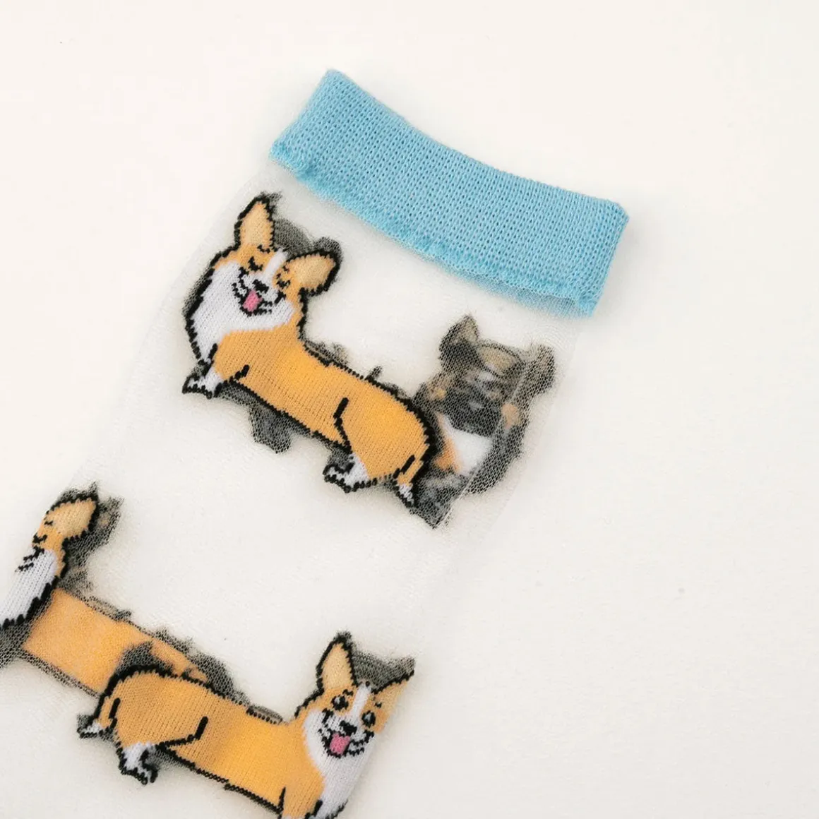 Chaussettes Transparentes - Corgi