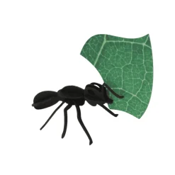 Collection Origami de 3 Fourmis Coupeuses De Feuilles