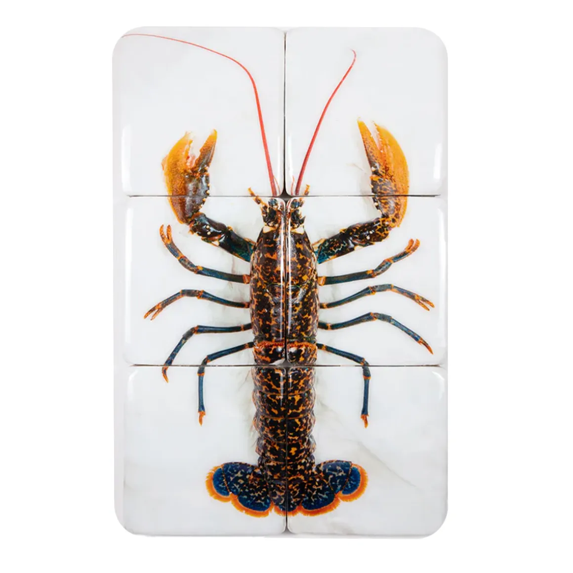 Décoration murale Homard Portugais - 40 x 60 cm