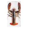 Décoration murale Homard sur glace sur fond blanc - 20 x 35 cm