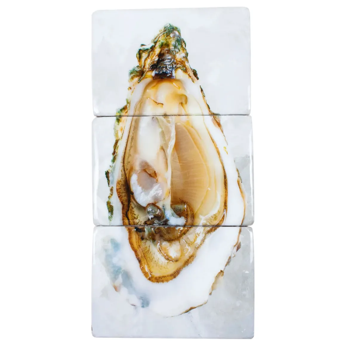 Décoration murale Huîtres - 29 x 60 cm