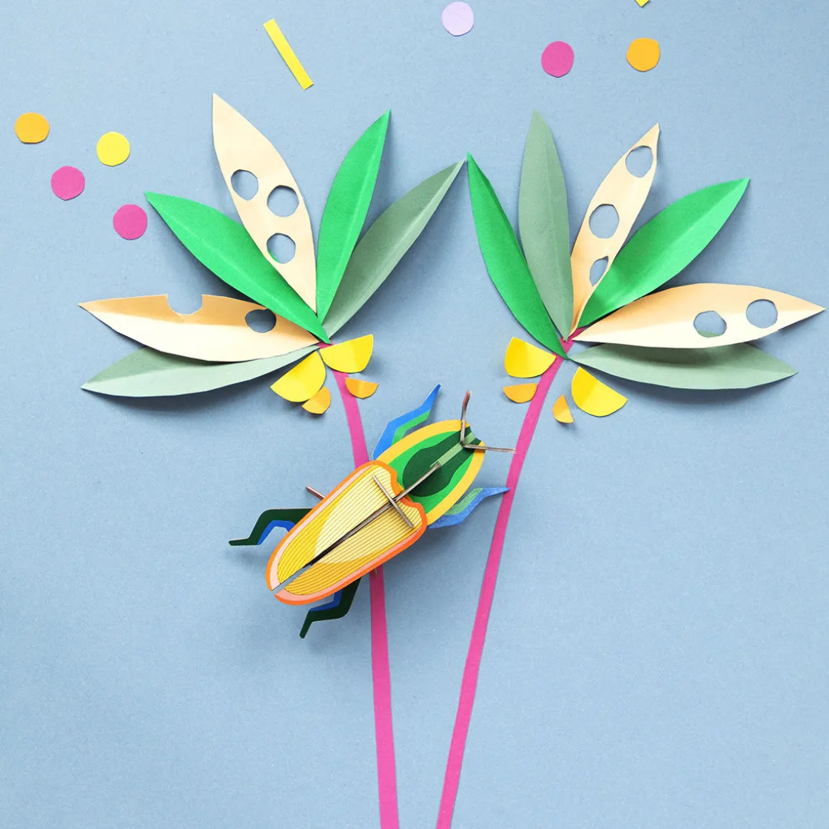 Décoration murale Madagascar Beetle