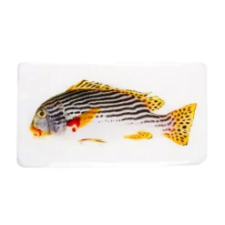 Décoration murale Poisson gaterin sur fond blanc - 35 cm x 20 cm
