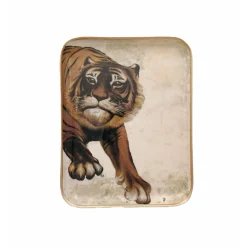 Demi Plateau - Tigre