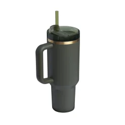 Gourde Quencher H2.0 - Cypress