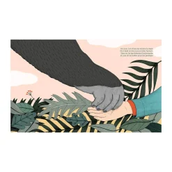 Livre Dian Fossey Collection Petite u0026 Grande