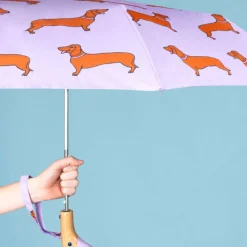 Parapluie à manche Tête de Canard - Teckel - Coucou Suzette