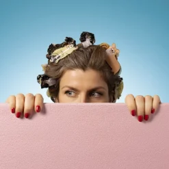 Pince à Cheveux - Corgi