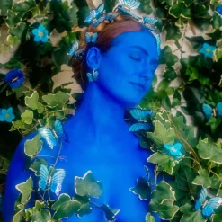 Pince à Cheveux Papillon - Bleu