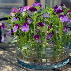 Pique à fleurs cercle Kenzan - Ø 20 cm - Noir Cuivré