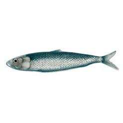 Plateau Sardine bleutée