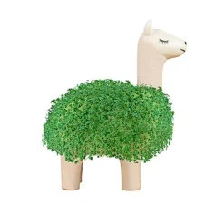 Pot / Jardinière Chia Lama