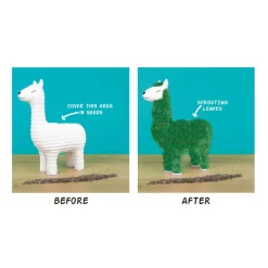 Pot / Jardinière Chia Lama