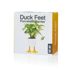 Pot / Jardinière Pieds Canards - Jaune u0026 Blanc