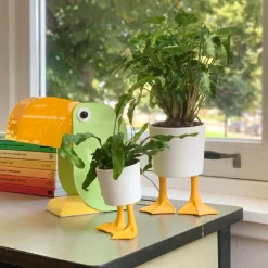 Pot / Jardinière Pieds Canards - Jaune u0026 Blanc