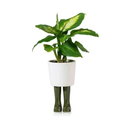 Pot / Jardinière Wellington Petit - Vert