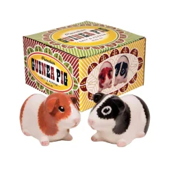 Salière u0026 Poivrière Guinea Pig