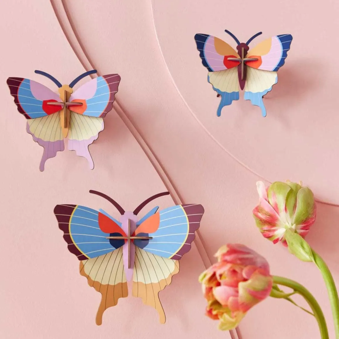 Set De 3 Décorations Murale Plum Fringe Butterflies