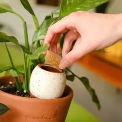 Trio Mini Diffuseur d'eau naturel Ollas