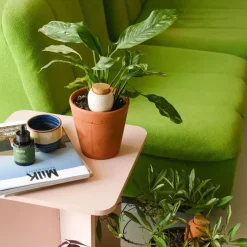 Trio Mini Diffuseur d'eau naturel Ollas