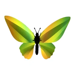 Trophée Origami Papillon Birdwing Vert Mangue