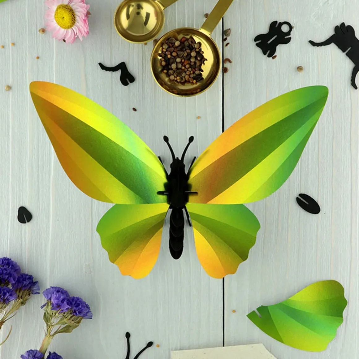 Trophée Origami Papillon Birdwing Vert Mangue