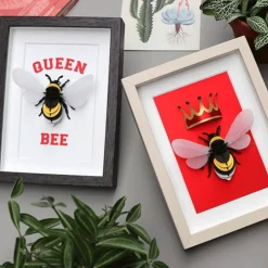 Trophee Origami Bourdon Ailes Transparentes