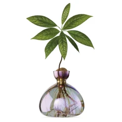 Vase en verre pour avocat