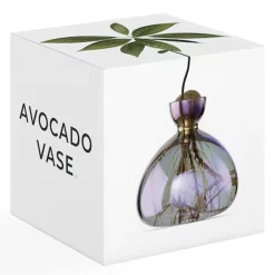 Vase en verre pour avocat