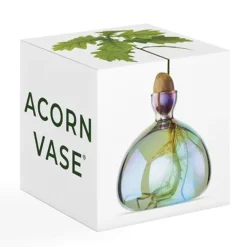 Vase en verre pour gland Cosmic